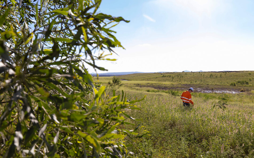 Thiess Rehabilitation presents at Indigenous information session in Emerald, South West Queensland